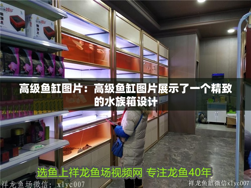 高級魚缸圖片：高級魚缸圖片展示了一個精致的水族箱設計