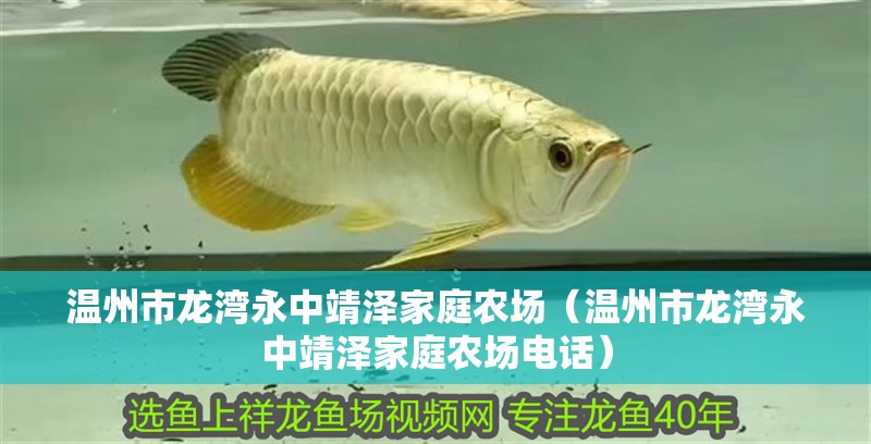 溫州市龍灣永中靖澤家庭農場（溫州市龍灣永中靖澤家庭農場電話）