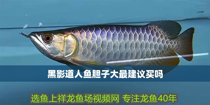 黑影道人魚膽子大最建議買嗎