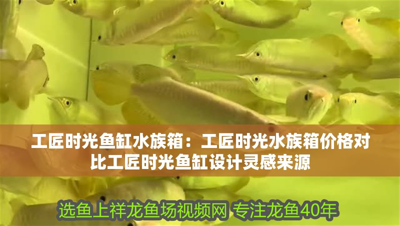 工匠時光魚缸水族箱：工匠時光水族箱價格對比工匠時光魚缸設計靈感來源