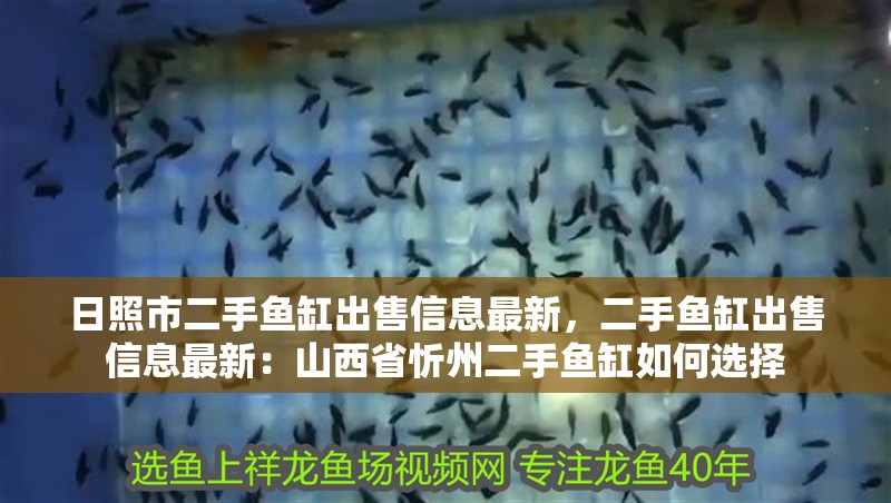 日照市二手魚缸出售信息最新，二手魚缸出售信息最新：山西省<strong><mark>忻州</mark></strong>二手魚缸如何選擇