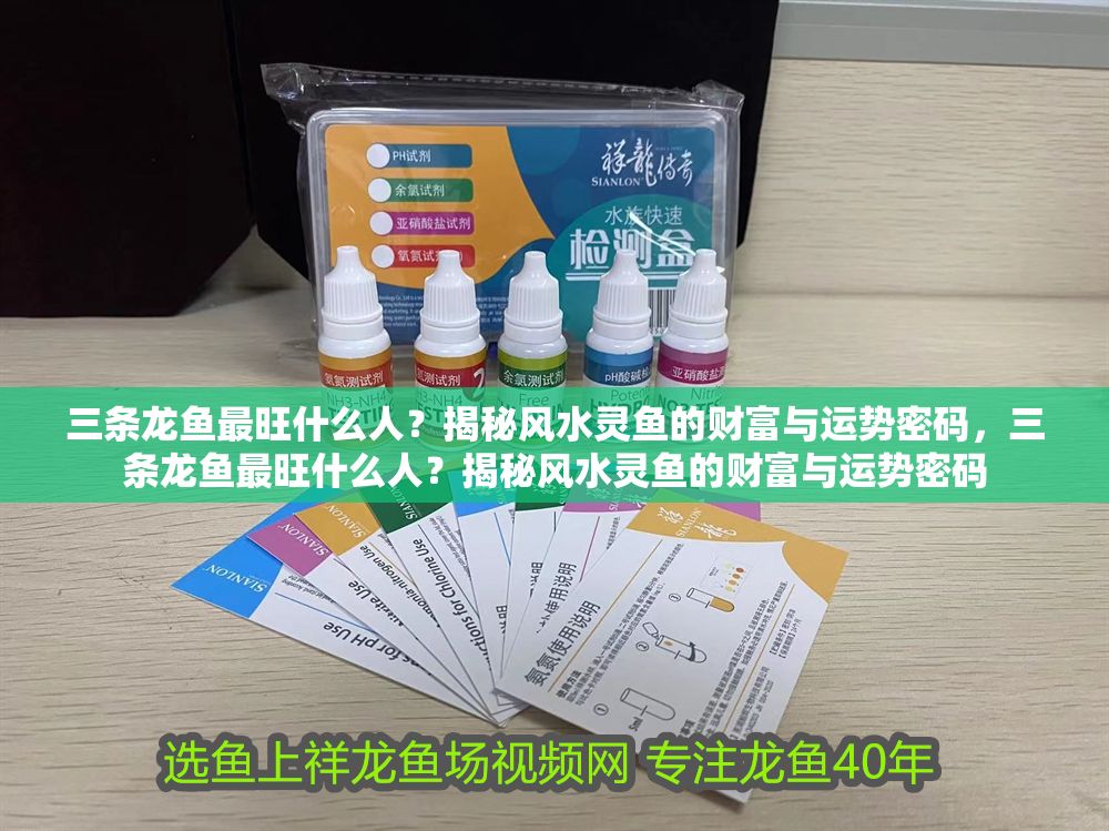 三條龍魚最旺什么人？揭秘風(fēng)水靈魚的財富與運(yùn)勢密碼，三條龍魚最旺什么人？揭秘風(fēng)水靈魚的財富與運(yùn)勢密碼