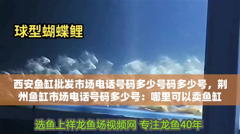 西安魚缸批發市場電話號碼多少號碼多少號，荊州魚缸市場電話號碼多少號：哪里可以賣魚缸？