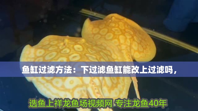 魚缸過濾方法：下過濾魚缸能改上過濾嗎，