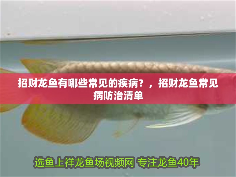魚缸過濾器選購指南:自制魚缸過濾器魚缸上置過濾器對于養魚愛好者的必備知識 招財龍魚有哪些常見的疾病?,招財龍魚常見病防治清單 龍魚百科 招財龍魚有哪些常見的疾病?,招財龍魚常見病防治清單 招財龍魚有哪些常見的疾病?,招財龍魚常見病防治清單 龍魚百科
