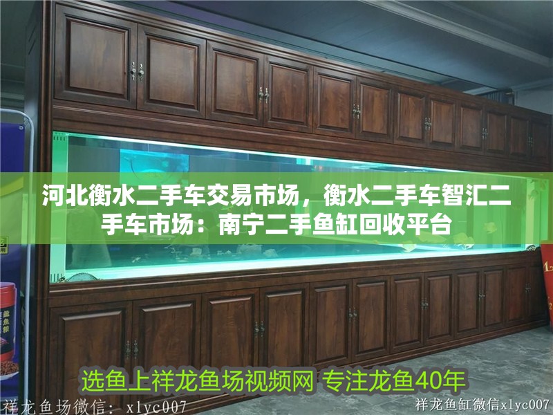 河北衡水二手車交易市場，衡水二手車智匯二手車市場：南寧二手魚缸回收平臺