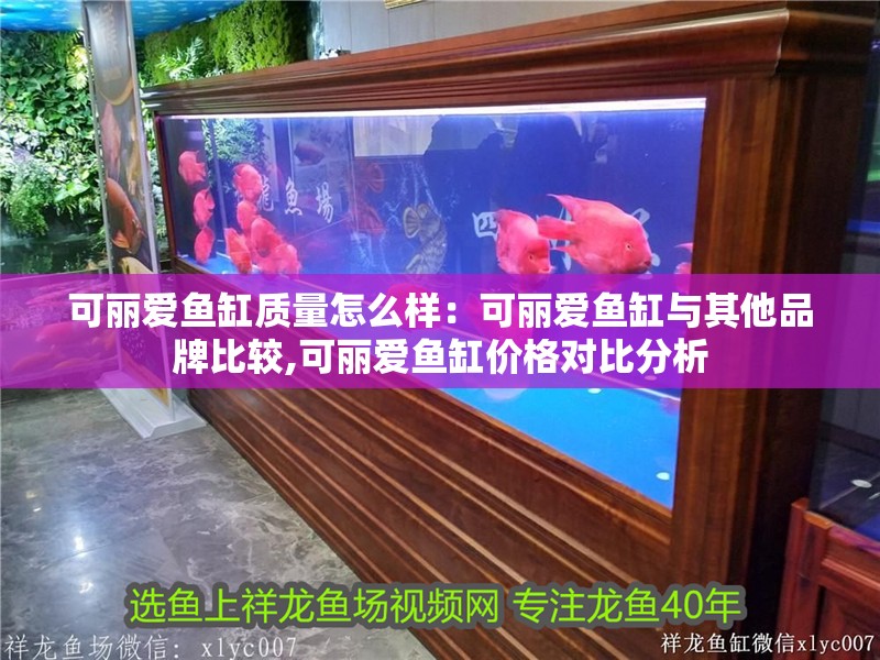 可麗愛魚缸質量怎么樣：可麗愛魚缸與其他品牌比較,可麗愛魚缸價格對比分析