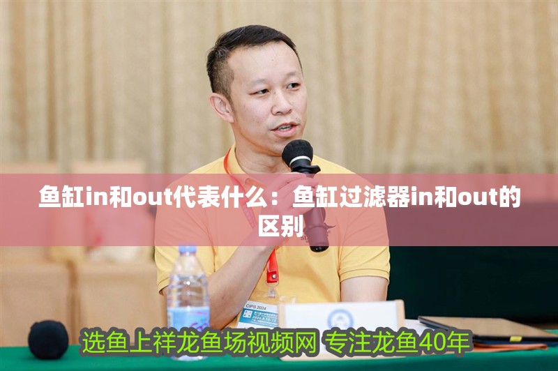 魚缸in和out代表什么：魚缸過濾器in和out的區別