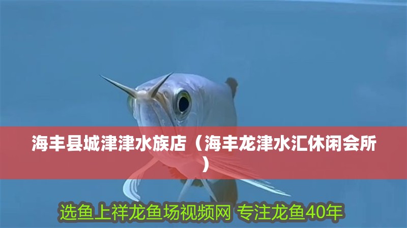 海豐縣城津津水族店（海豐龍津水匯休閑會所）