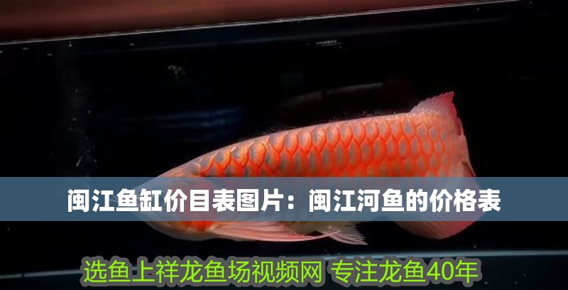 閩江魚缸價(jià)目表圖片：閩江河魚的價(jià)格表