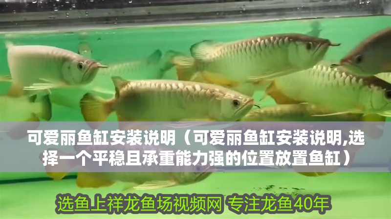 可愛麗魚缸安裝說明（可愛麗魚缸安裝說明,選擇一個(gè)平穩(wěn)且承重能力強(qiáng)的位置放置魚缸）