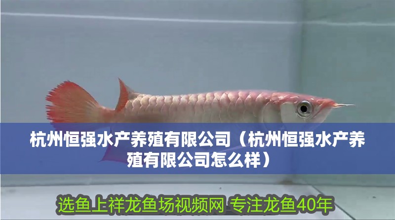 杭州恒強(qiáng)水產(chǎn)養(yǎng)殖有限公司（杭州恒強(qiáng)水產(chǎn)養(yǎng)殖有限公司怎么樣）