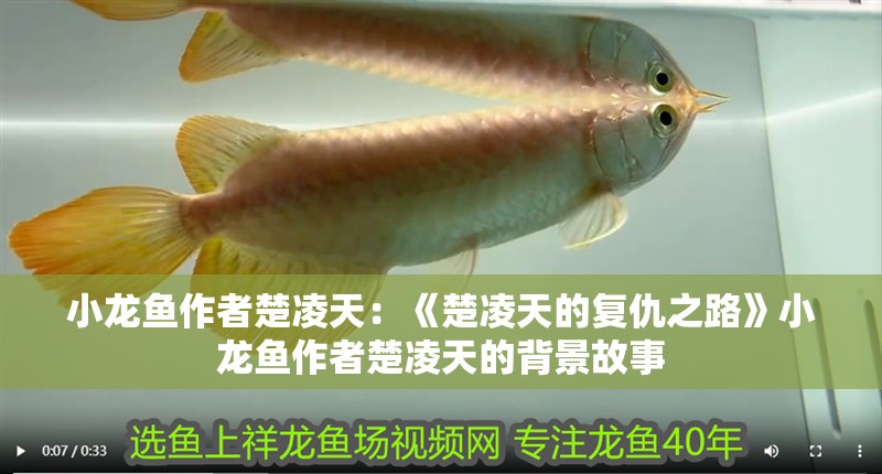 小龍魚作者楚凌天：《楚凌天的復(fù)仇之路》小龍魚作者楚凌天的背景故事