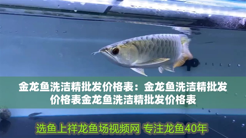 金龍魚洗潔精批發價格表：金龍魚洗潔精批發價格表金龍魚洗潔精批發價格表