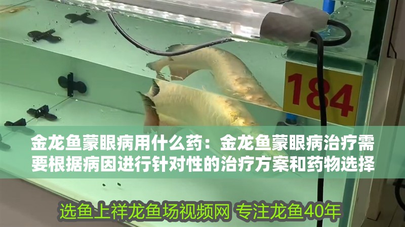 金龍魚蒙眼病用什么藥：金龍魚蒙眼病治療需要根據(jù)病因進(jìn)行針對(duì)性的治療方案和藥物選擇