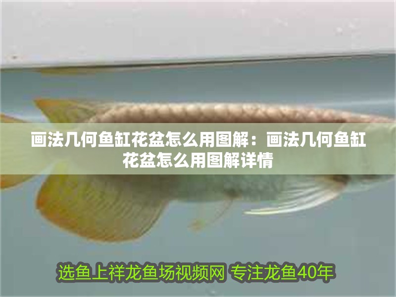 畫法幾何魚缸花盆怎么用圖解：畫法幾何魚缸花盆怎么用圖解詳情