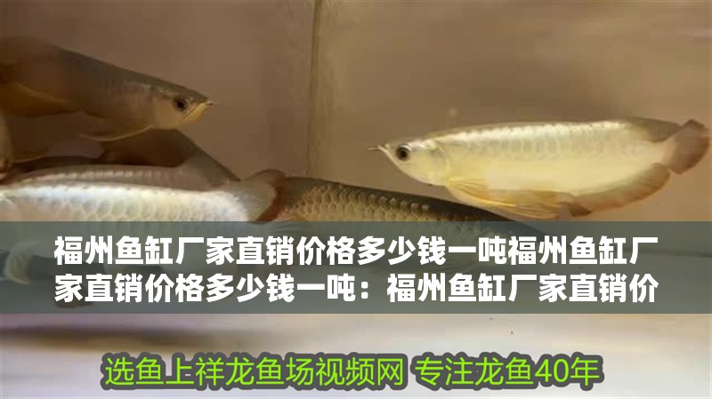 福州魚缸廠家直銷價格多少錢一噸福州魚缸廠家直銷價格多少錢一噸：福州魚缸廠家直銷價格多少錢一噸