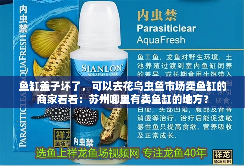 魚缸蓋子壞了，可以去花鳥蟲魚市場賣魚缸的商家看看：蘇州哪里有賣魚缸的地方？