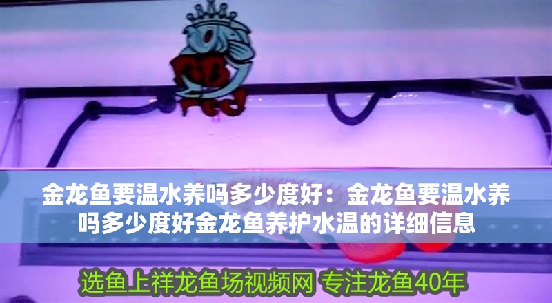 金龍魚要溫水養嗎多少度好：金龍魚要溫水養嗎多少度好金龍魚養護水溫的詳細信息