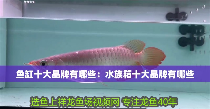 魚缸十大品牌有哪些：水族箱十大品牌有哪些