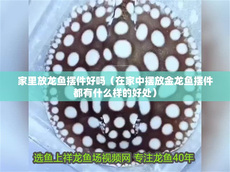 家里放龍魚擺件好嗎（在家中擺放金龍魚擺件都有什么樣的好處）