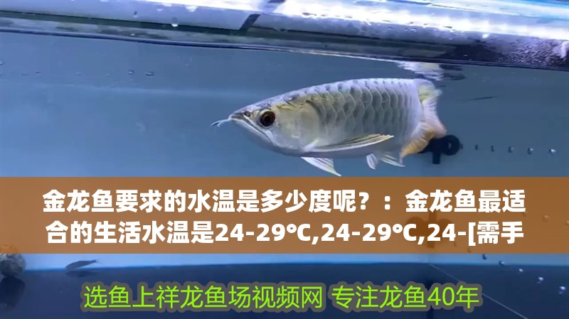 金龍魚要求的水溫是多少度呢？：金龍魚最適合的生活水溫是24-29℃,24-29℃,24-[需手動填充]