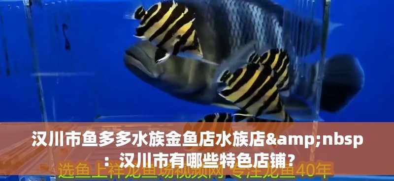漢川市魚多多水族金魚店水族店&nbsp：漢川市有哪些特色店鋪？