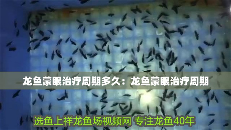 龍魚(yú)蒙眼治療周期多久：龍魚(yú)蒙眼治療周期