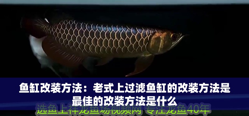 魚缸改裝方法：老式上過濾魚缸的改裝方法是最佳的改裝方法是什么