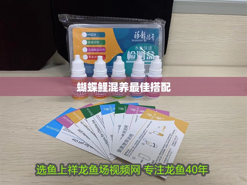 蝴蝶鯉混養最佳搭配