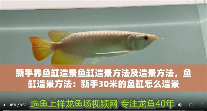 新手養魚缸造景魚缸造景方法及造景方法，魚缸造景方法：新手30米的魚缸怎么造景