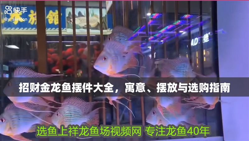 招財金龍魚擺件大全，寓意、擺放與選購指南