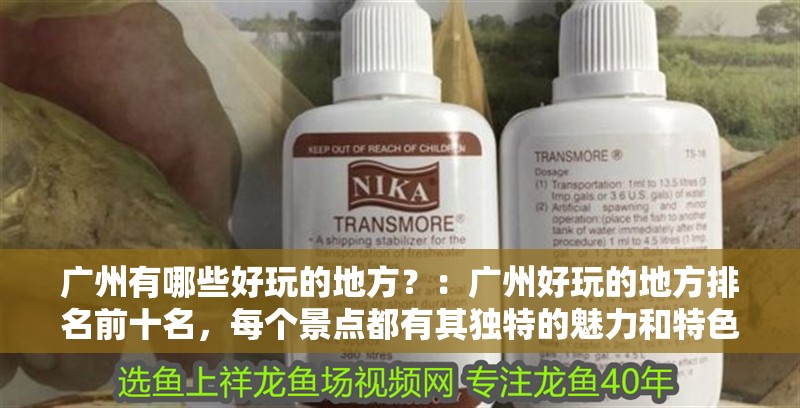 廣州有哪些好玩的地方？：廣州好玩的地方排名前十名，每個(gè)景點(diǎn)都有其獨(dú)特的魅力和特色