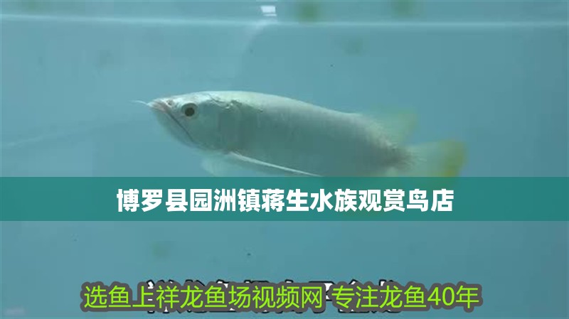 博羅縣園洲鎮蔣生水族觀賞鳥店