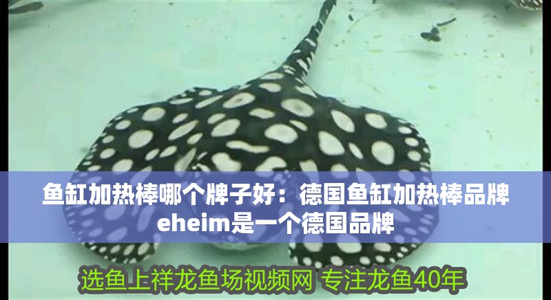 魚缸加熱棒哪個牌子好：德國魚缸加熱棒品牌eheim是一個德國品牌