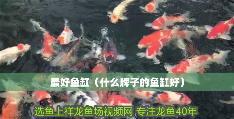 最好魚缸（什么牌子的魚缸好）