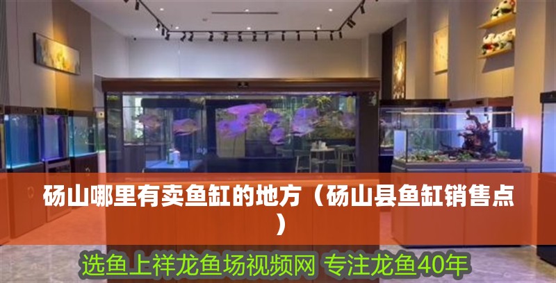 碭山哪里有賣魚缸的地方（碭山縣魚缸銷售點）