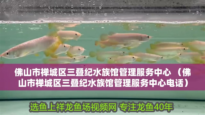 佛山市禪城區(qū)三疊紀(jì)水族館管理服務(wù)中心 （佛山市禪城區(qū)三疊紀(jì)水族館管理服務(wù)中心電話）