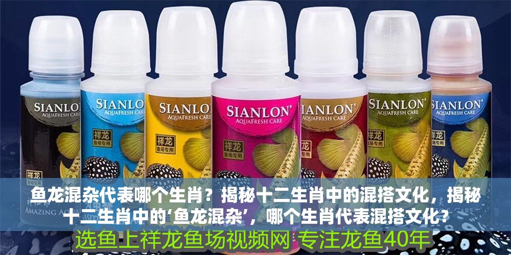 魚龍混雜代表哪個生肖？揭秘十二生肖中的混搭文化，揭秘十二生肖中的‘魚龍混雜’，哪個生肖代表混搭文化？