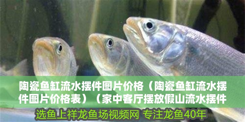 陶瓷魚缸流水擺件圖片價格（陶瓷魚缸流水擺件圖片價格表）（家中客廳擺放假山流水擺件宜忌擺放假山流水擺件宜忌）