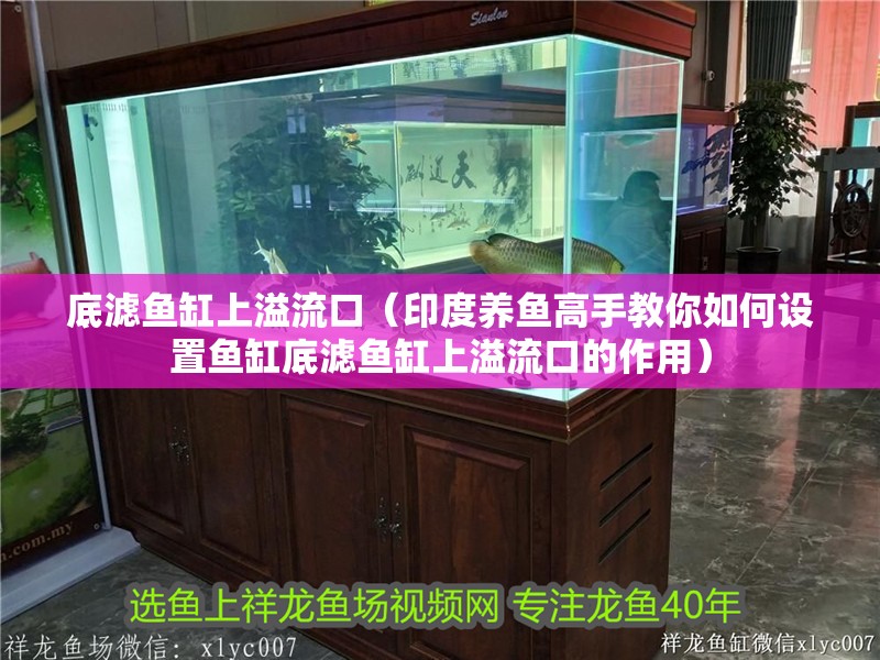 底濾魚缸上溢流口（印度養魚高手教你如何設置魚缸底濾魚缸上溢流口的作用）