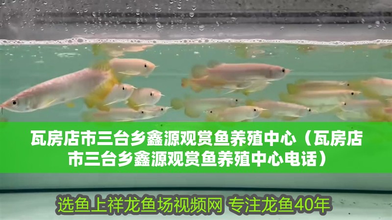 瓦房店市三臺鄉(xiāng)鑫源觀賞魚養(yǎng)殖中心（瓦房店市三臺鄉(xiāng)鑫源觀賞魚養(yǎng)殖中心電話）