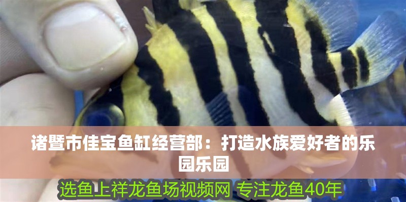 諸暨市佳寶魚缸經營部：打造水族愛好者的樂園樂園
