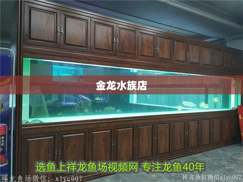 金龍水族店
