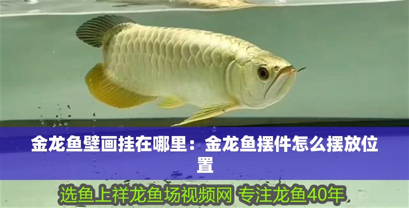 金龍魚壁畫掛在哪里：金龍魚擺件怎么擺放位置