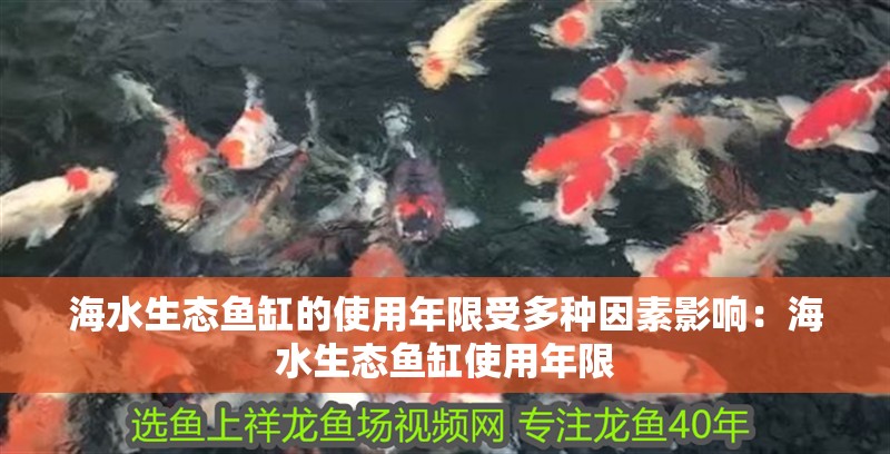 海水生態魚缸的使用年限受多種因素影響：海水生態魚缸使用年限