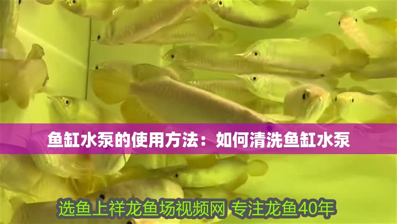 魚缸水泵的使用方法：如何清洗魚缸水泵