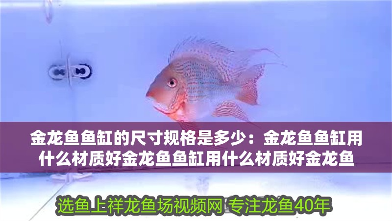 金龍魚魚缸的尺寸規格是多少：金龍魚魚缸用什么材質好金龍魚魚缸用什么材質好金龍魚