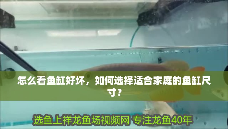 怎么看魚缸好壞，如何選擇適合家庭的魚缸尺寸？