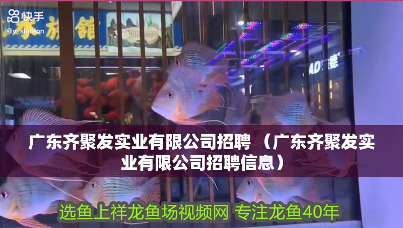 廣東齊聚發實業有限公司招聘 （廣東齊聚發實業有限公司招聘信息）